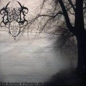 Raw Sensation Of Nostalgia And Nihilistic