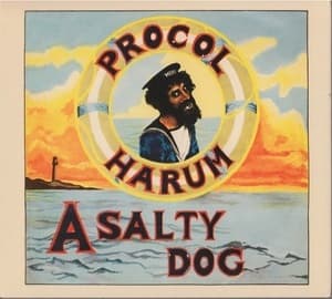 A Salty Dog