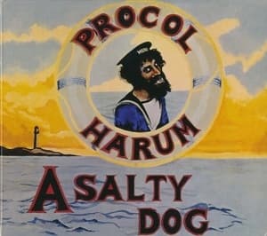 A Salty Dog