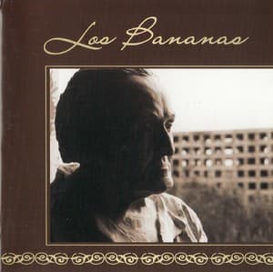 Con Il Tempo Che Passa, Ricoperta Di Polvere, La Bellezza Sfiorita Rimane Sem...