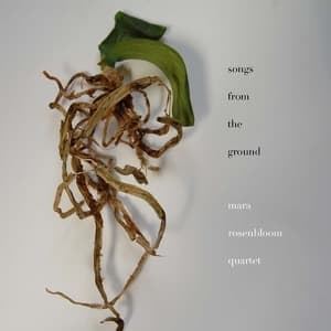 Songs From The Ground