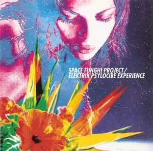 Elektrik Psylocibe Experience