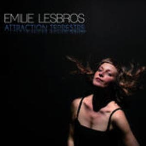 Attraction Terrestre