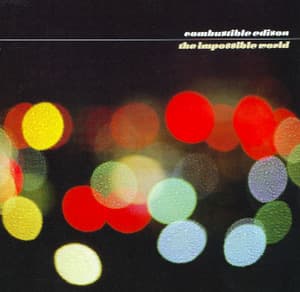 The Impossible World