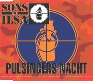 Pulsingers Nacht [CDM]