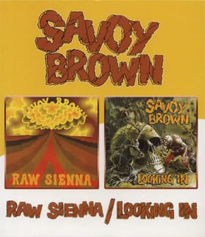 Raw Sienna / Looking In