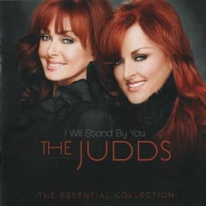 I Will Stand By You: The Essential Collection
