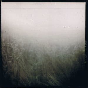 The Black Book Of Capitalism