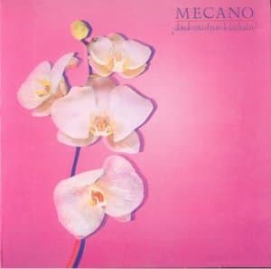 їdуnde Estб El Paнs De Las Hadas?