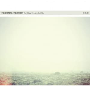 Not A Leaf Remains As It Was