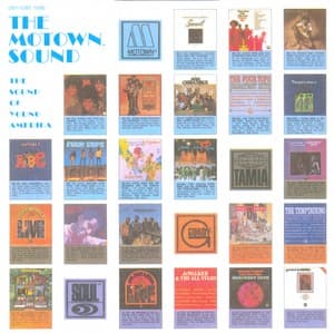 Everything Is Everything