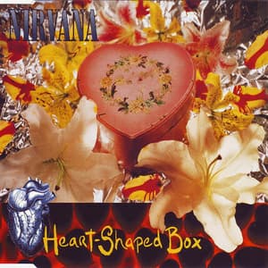 Heart-Shaped Box