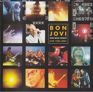 One Wild Night: Live 1985-2001