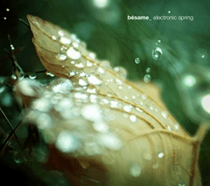 Besame Electronic Spring