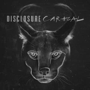 Caracal (Deluxe Edition)
