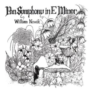 Pan Symphony In E Minor