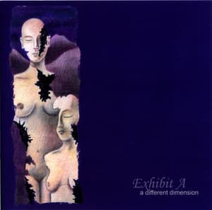 A Different Dimension