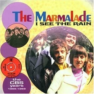 I See The Rain - The Cbs Years 1966-1969