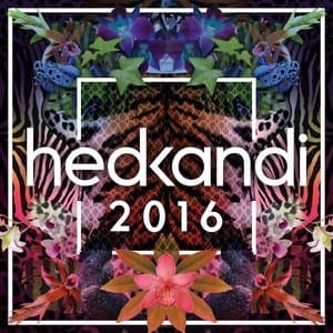 Hed Kandi 2016