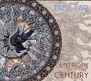 Entropy Of The Century