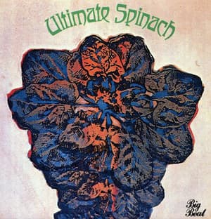 The Box - Ultimate Spinach