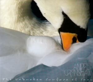 The Unbroken Surface Of Snow