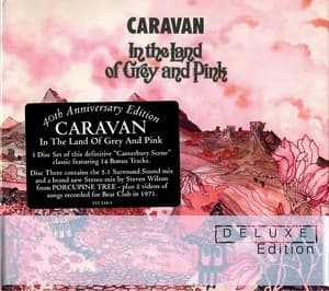 In The Land Of Grey And Pink