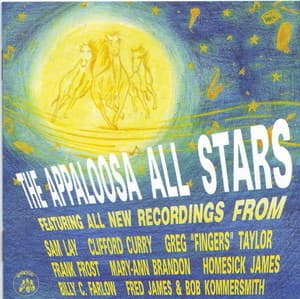 The Appaloosa All Stars