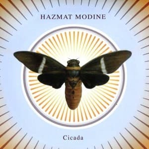 Cicada