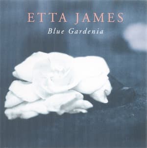 Blue Gardenia