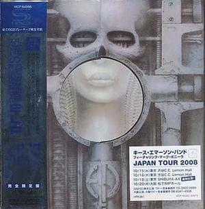 Brain Salad Surgery