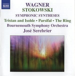 Wagner-stokowski Symphonic Syntheses