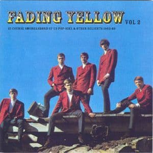 Fading Yellow Vol 2. 21 Course Smorgasbord Of Us Pop-sike & Other Delights 19...