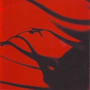 Pequenas Flores Do Inferno