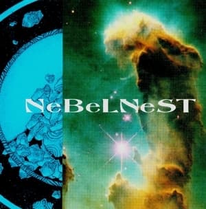 NeBeLNeST