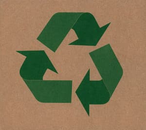 Von Brigdi (recycle Bin)