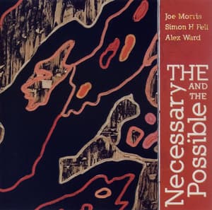 The Necessary And The Possible