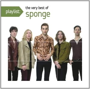 Playlist - The Very Best Of Sponge [WEB]