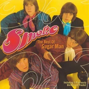 The Best Of Sugar Man