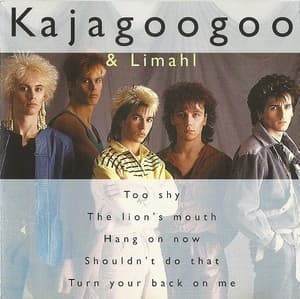 The Best Of Kajagoogoo & Limahl