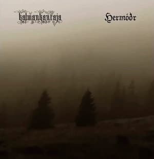 Kalmankantaja - Hermodr (split)