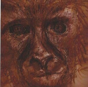 Failure Of An Intelligent Design