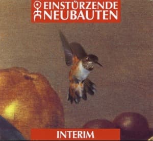 Interim & Malediction