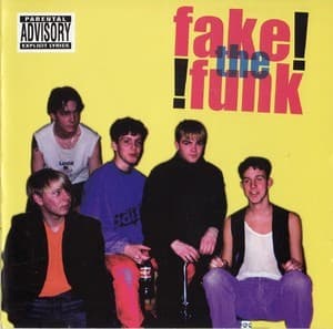 Fake The Funk