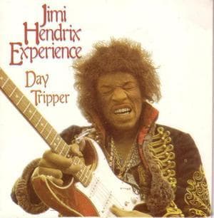 Day Tripper