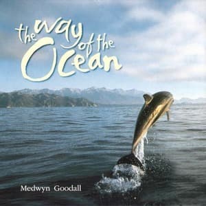 The Way Of The Ocean