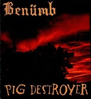 Benümb  &  Pig Destroyer