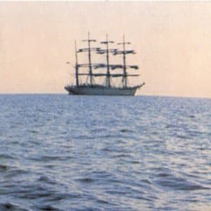 The Doctor Came At Dawn