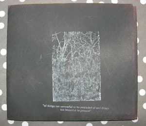 Of Things Too Sorrowful To Be Reminded Of, And Things Too Beautiful To Possess