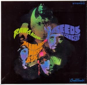 Raw & Alive In Concert At Merlin's Music Box (Hayabusa Landings Japan Mini LP 2010)